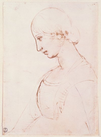 若い女性の肖像画（ペンとインク） 作： Raffaello Sanzio Raphael